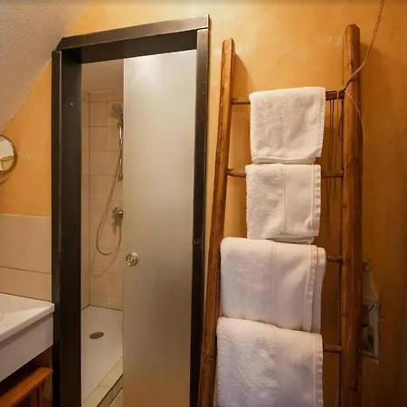 Flat In Alsace Near Vosges Nature Park, Cleaning Included Apartment