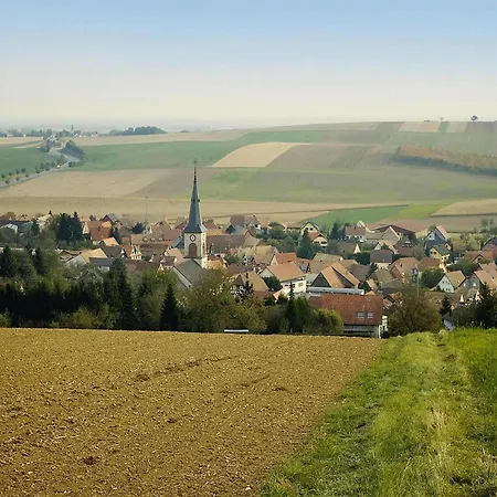 Flat In Alsace Near Vosges Nature Park, Cleaning Included *